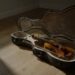 A violin and bow resting inside an open case on a wooden floor, lit by soft afternoon light through a sheer curtain
