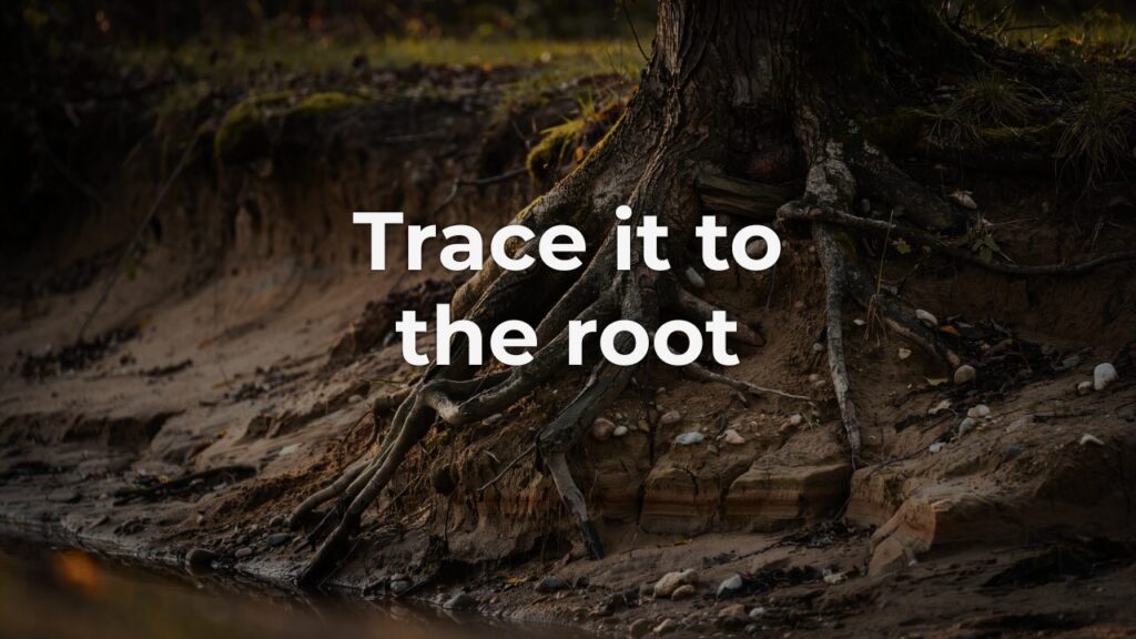  Exposed tree roots at an eroded riverbank, tracing down through layered soil to their source.