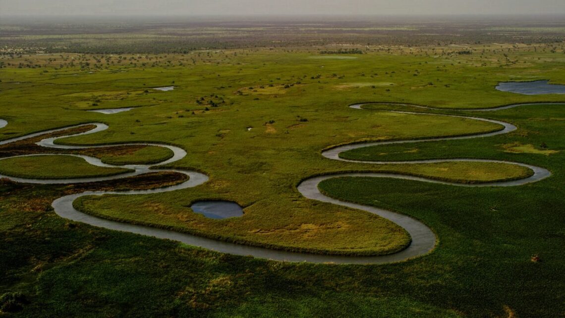 Aerial view of a winding river bend tracing its path upstream through green wetland terrain.