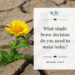 Encouraging quotes